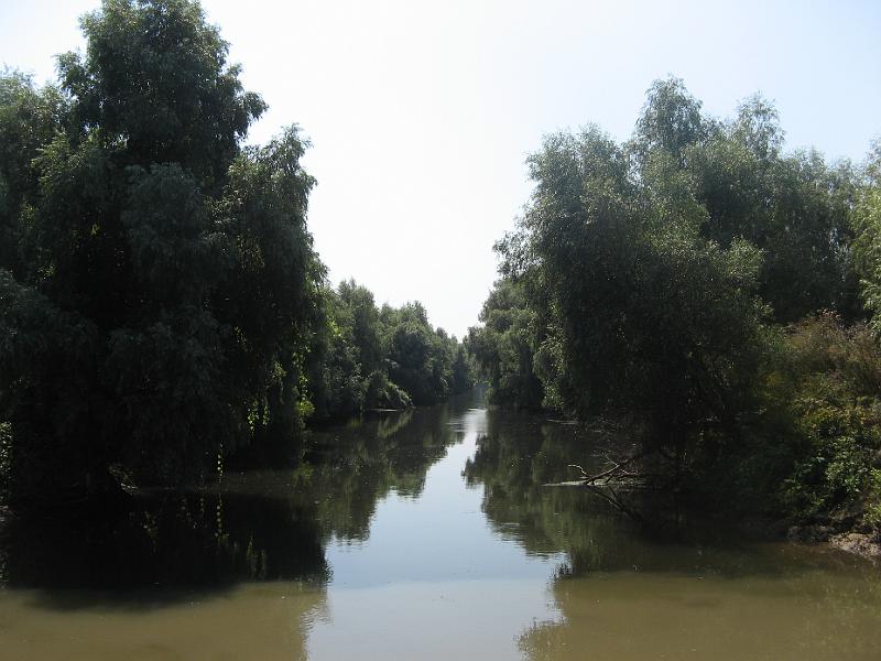 338.jpg