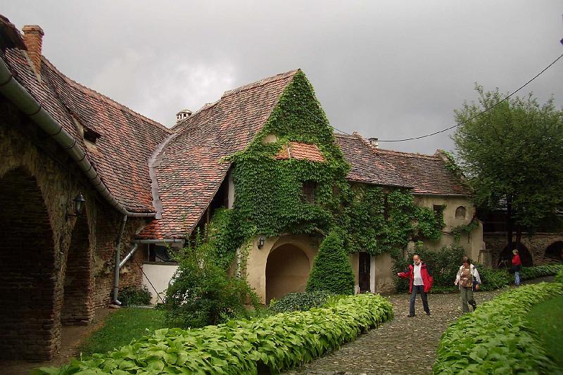 873.jpg